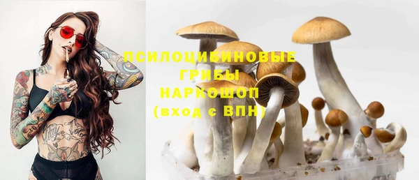 марки nbome Медвежьегорск