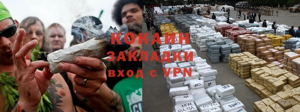 трава Бронницы